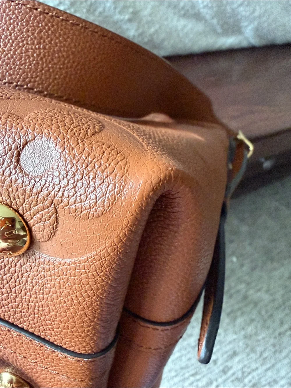 Louis Vuitton Cognac Carry All PM Shoulder Bag